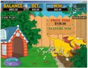 Play Slots, blackjack, roulette and more...