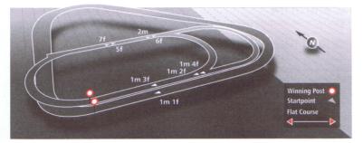 Track at Kempton Racecourse