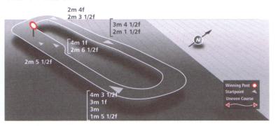 Track at Market Rasen Racecourse