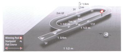 Track description at Southwell racecourse