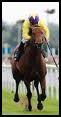 racecourse directory