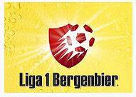 romanian-liga-1-logo.jpg
