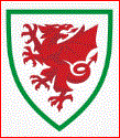 Wales betting tip