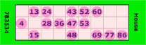 bingo house win