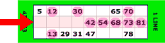 bingo one line win