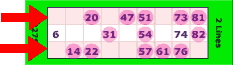 bingo two line win