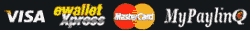 Popular US payment methods at Bodog include MyPaylinQ