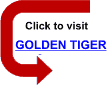 Click to visit  Golden Tiger Casino - ignore the ugly web page - the downloaded casino is great!