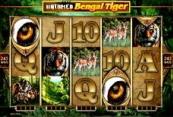 Bengal slot and Planet Exotica slot