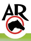 Arabian Racing Organisation