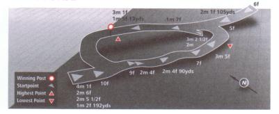 Course at Ayr racecourse