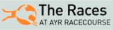 Racing at Ayr Racecourse