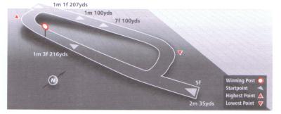 Track at Beverley Racecourse