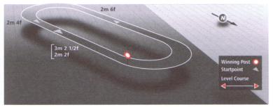 Circuit at Fontwell Racecourse
