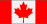 Canadian bettors welcome at Bodog